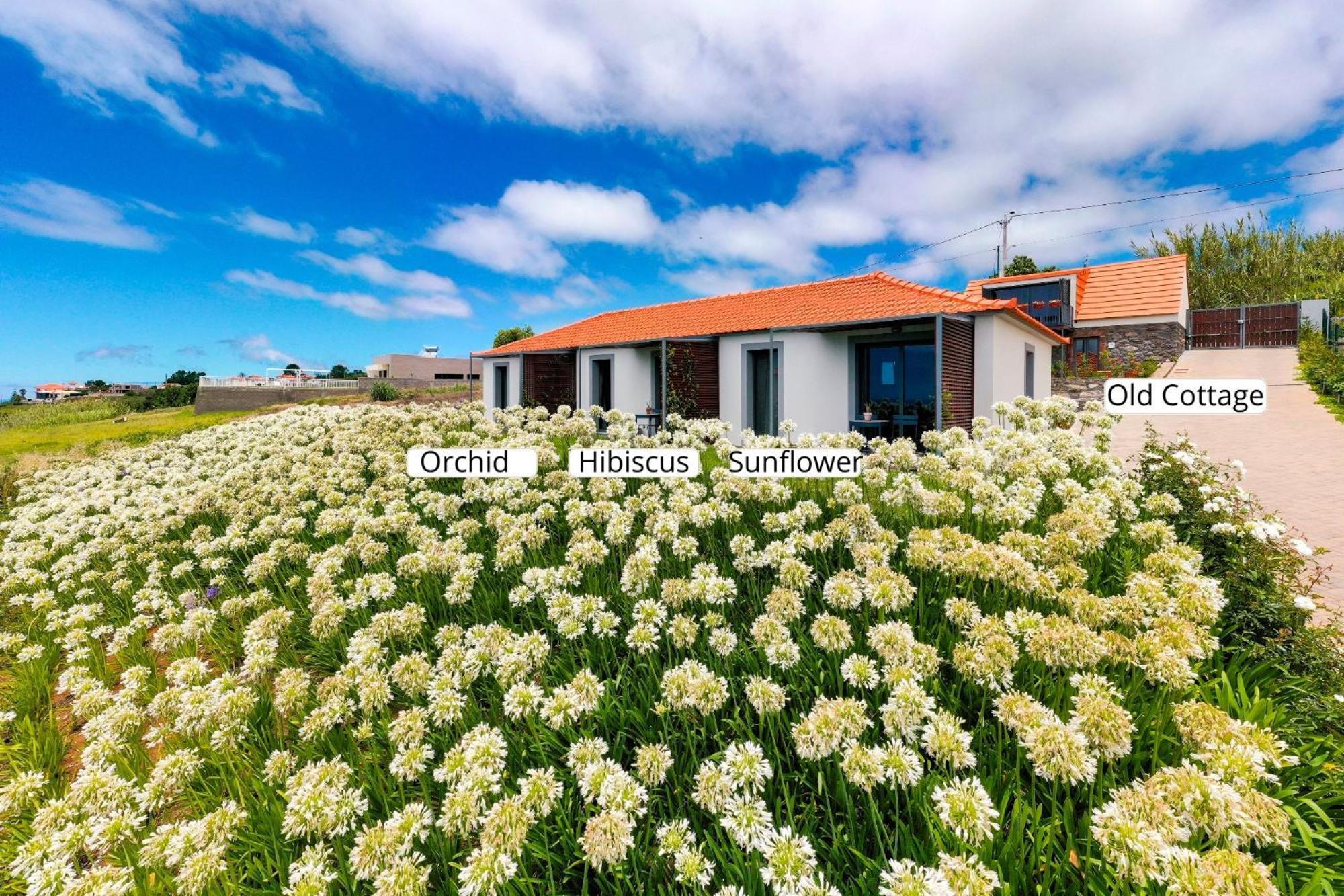 Ferienwohnung Ourmadeira - Quinta Inacia, Countryside Escape Calheta  Exterior foto